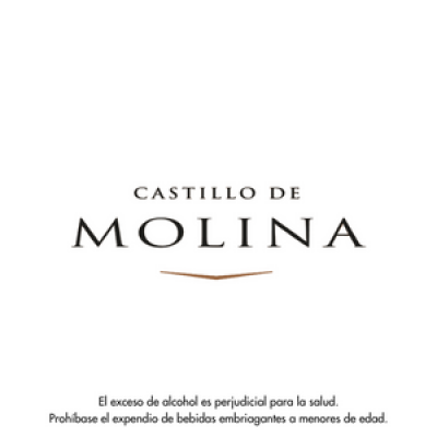 Castillo De Molina